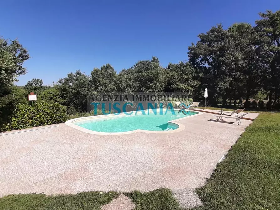 Immagine 36 di Casa colonica in vendita  a Monteverdi Marittimo
