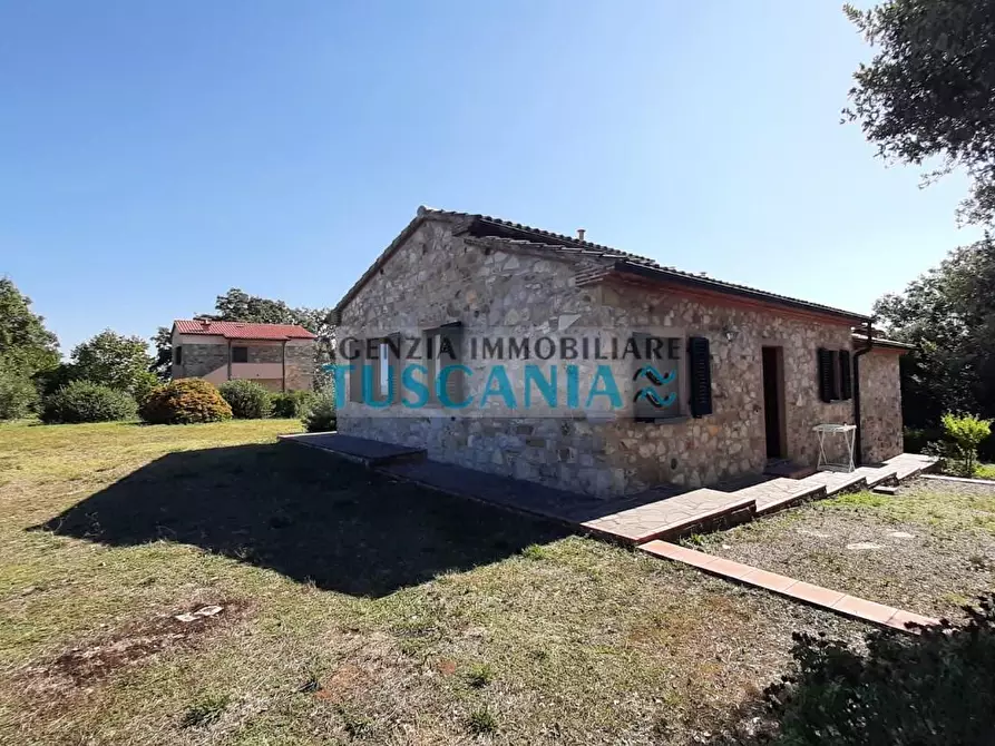 Immagine 22 di Casa colonica in vendita  a Monteverdi Marittimo