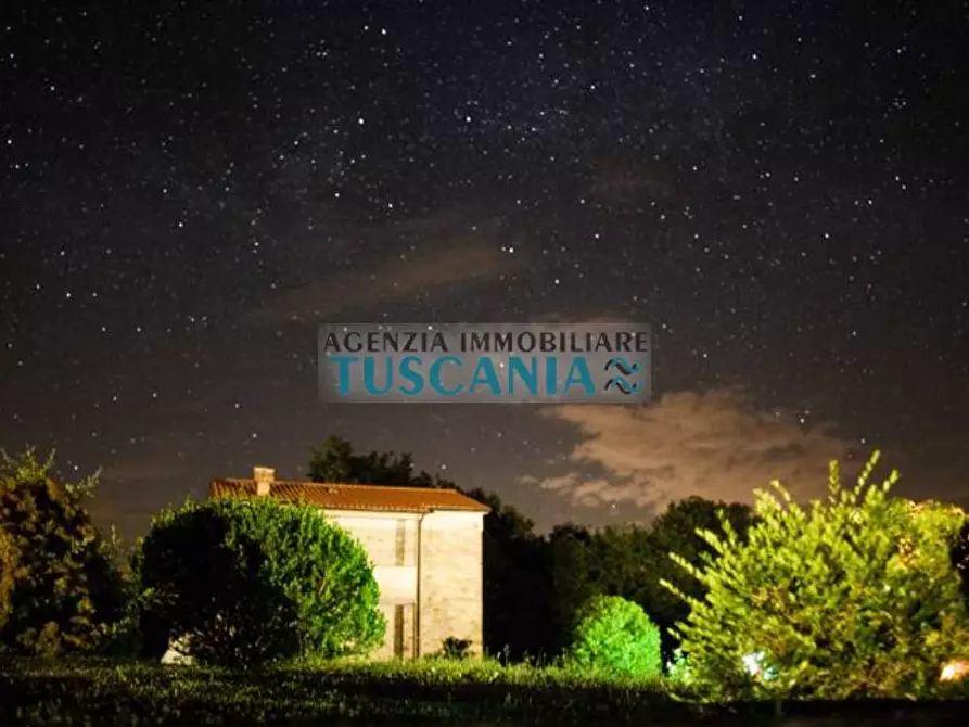 Immagine 16 di Casa colonica in vendita  a Monteverdi Marittimo