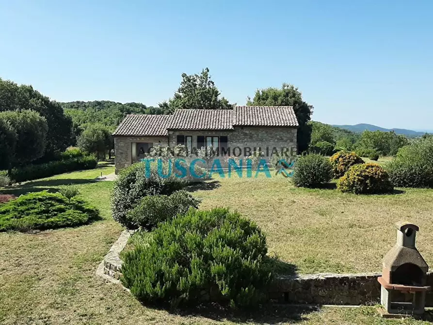 Immagine 28 di Casa colonica in vendita  a Monteverdi Marittimo