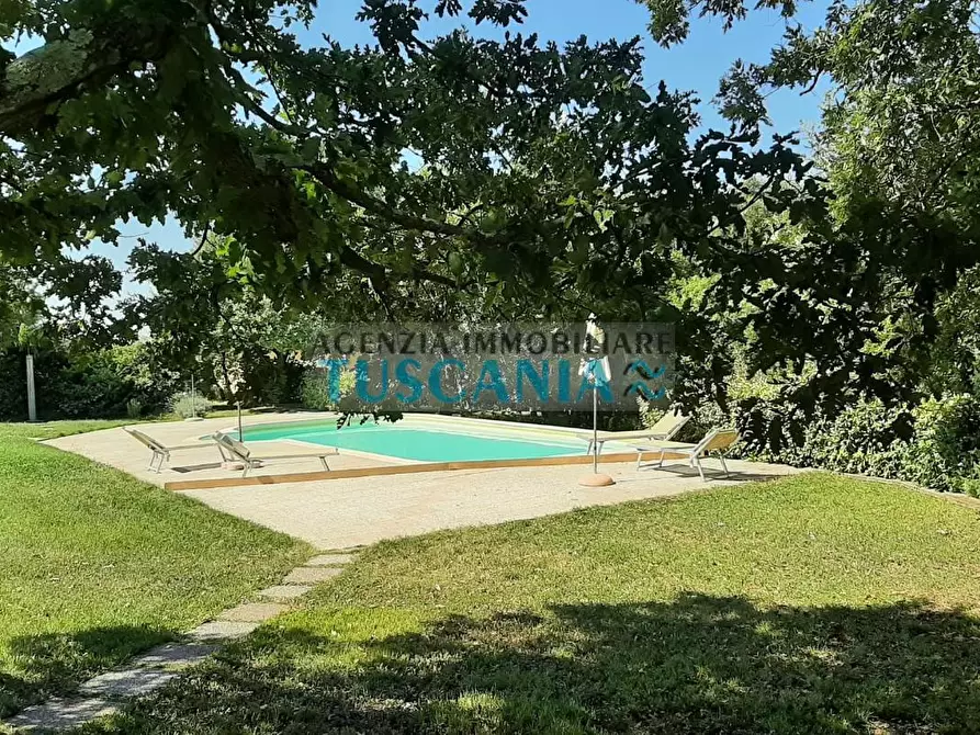 Immagine 43 di Casa colonica in vendita  a Monteverdi Marittimo
