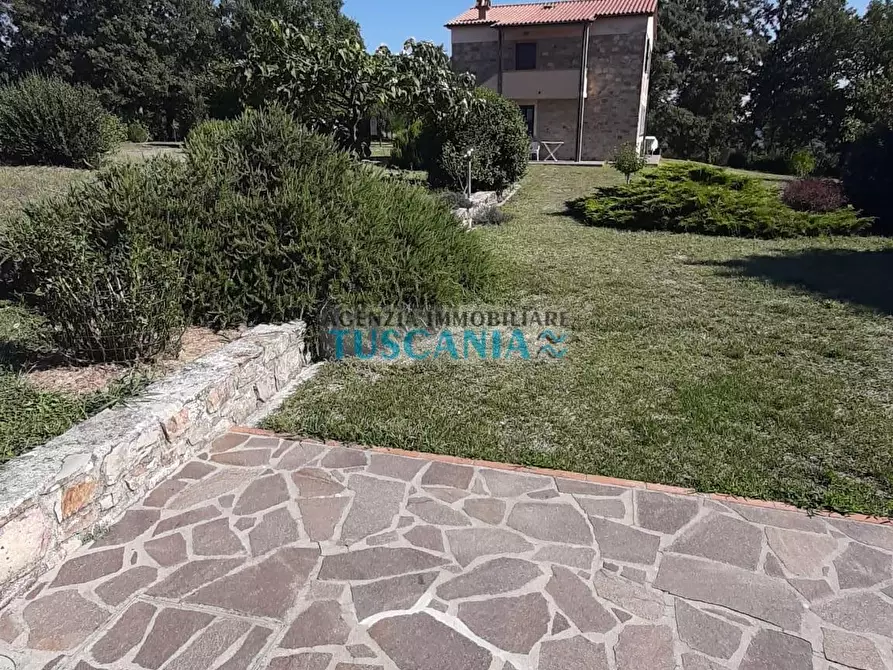 Immagine 31 di Casa colonica in vendita  a Monteverdi Marittimo