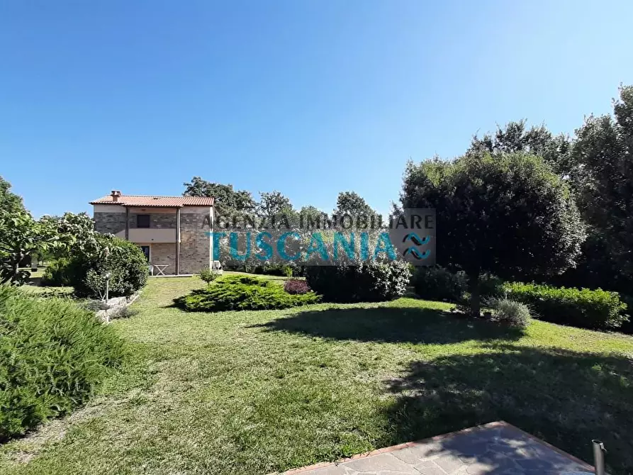 Immagine 44 di Casa colonica in vendita  a Monteverdi Marittimo