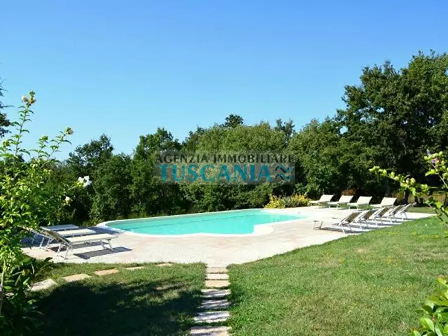 Immagine 15 di Casa colonica in vendita  a Monteverdi Marittimo