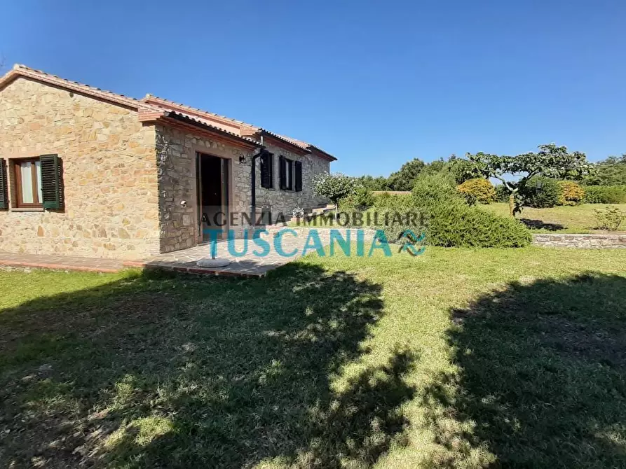 Immagine 35 di Casa colonica in vendita  a Monteverdi Marittimo