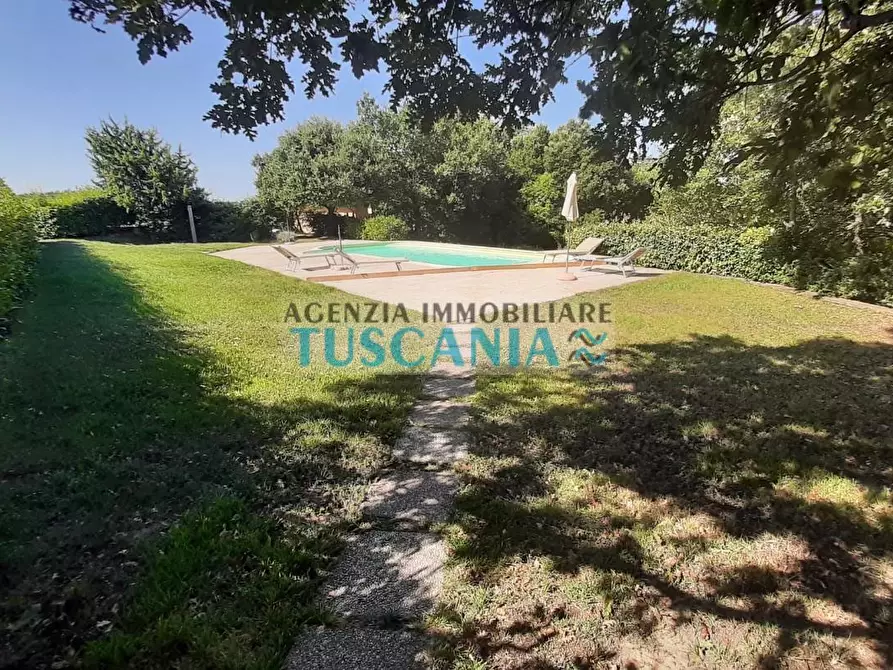 Immagine 39 di Casa colonica in vendita  a Monteverdi Marittimo