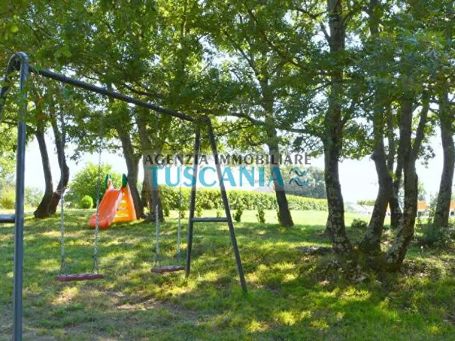 Immagine 14 di Casa colonica in vendita  a Monteverdi Marittimo