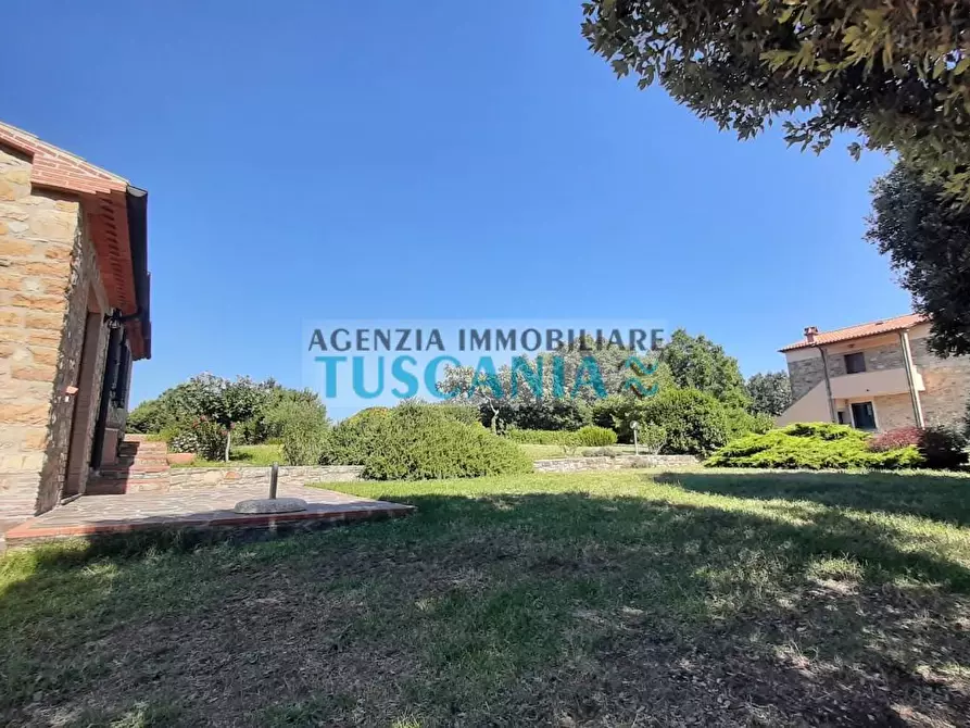 Immagine 33 di Casa colonica in vendita  a Monteverdi Marittimo