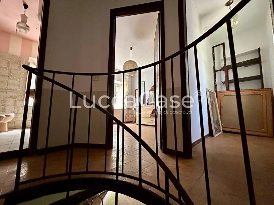 Immagine 41 di Casa colonica in vendita  a Capannori