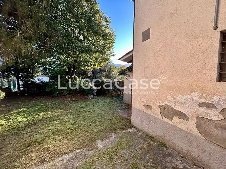 Immagine 64 di Casa colonica in vendita  a Capannori