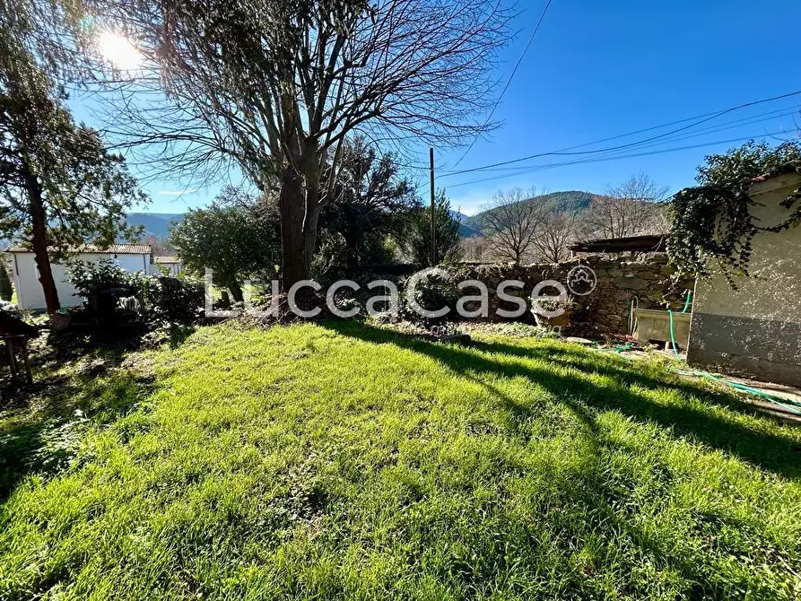 Immagine 57 di Casa colonica in vendita  a Capannori