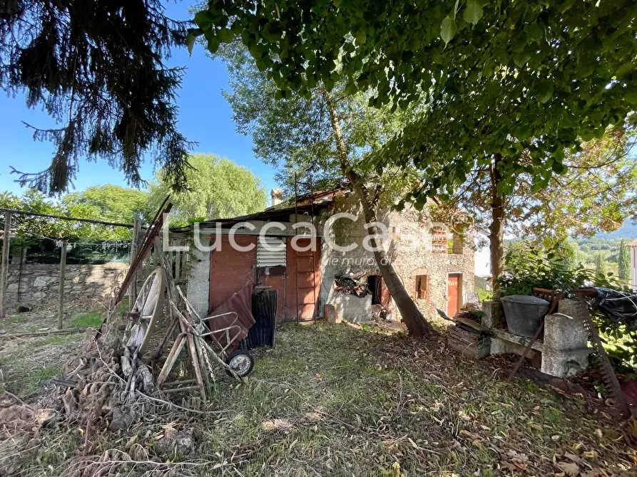 Immagine 49 di Casa colonica in vendita  a Capannori