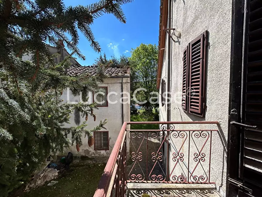 Immagine 20 di Casa colonica in vendita  a Capannori