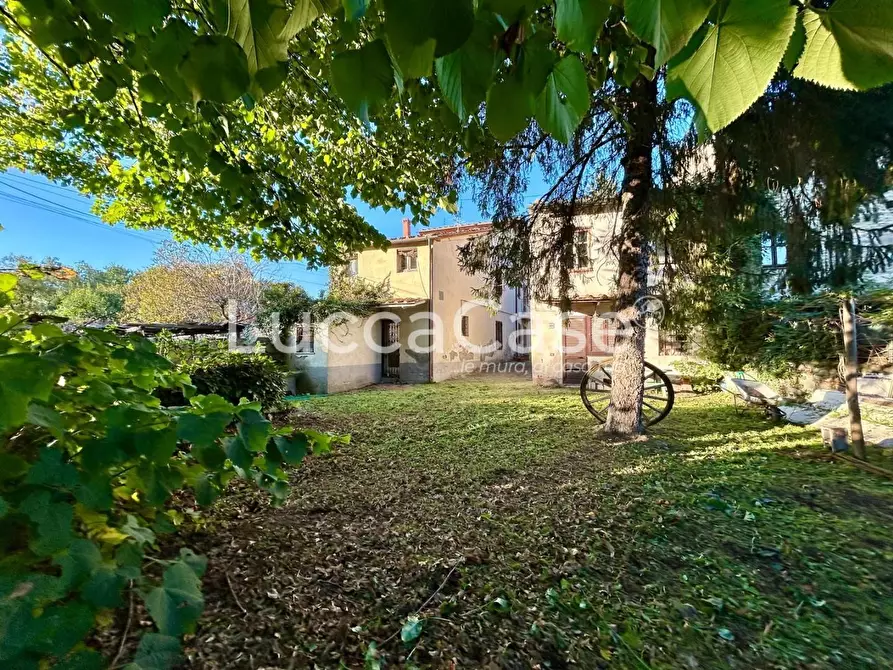 Immagine 31 di Casa colonica in vendita  a Capannori