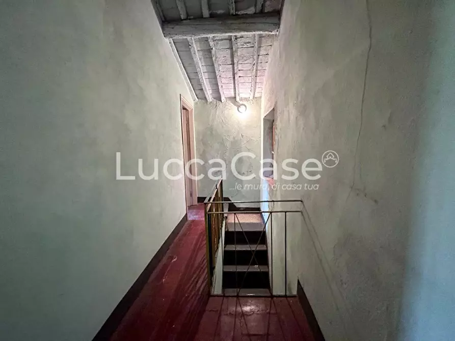 Immagine 24 di Casa colonica in vendita  a Capannori