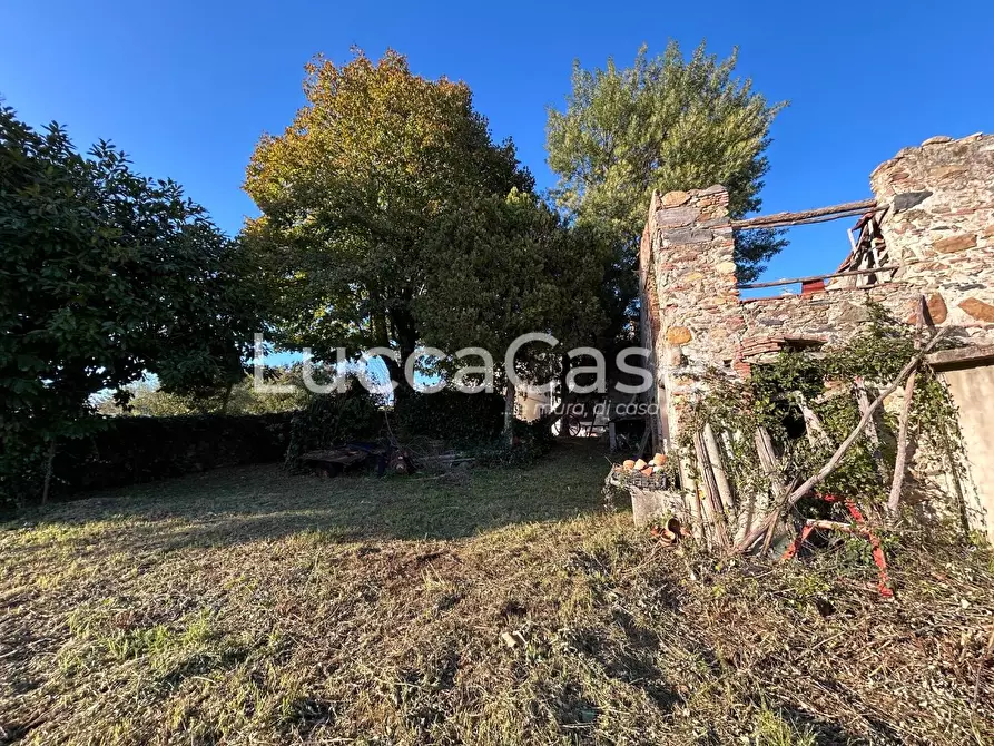 Immagine 69 di Casa colonica in vendita  a Capannori