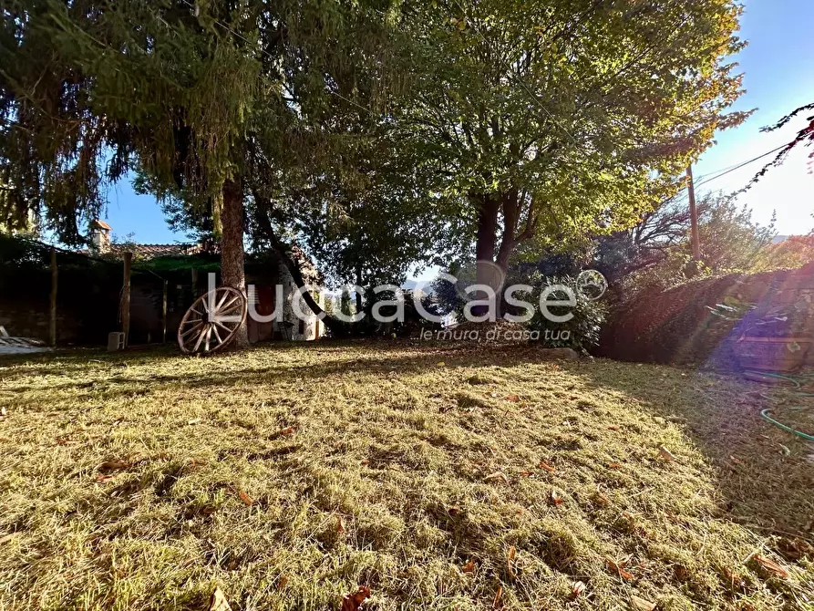 Immagine 48 di Casa colonica in vendita  a Capannori