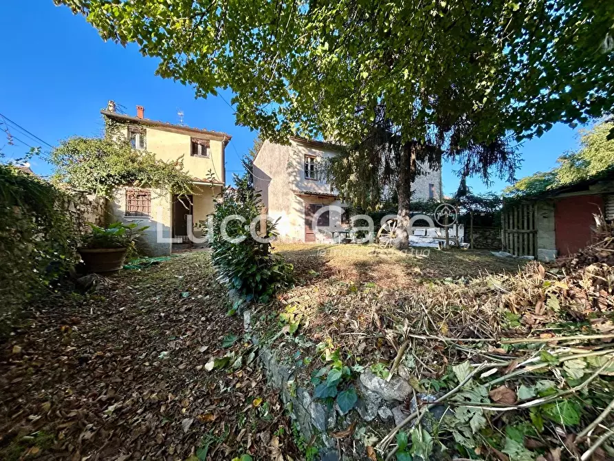 Immagine 43 di Casa colonica in vendita  a Capannori