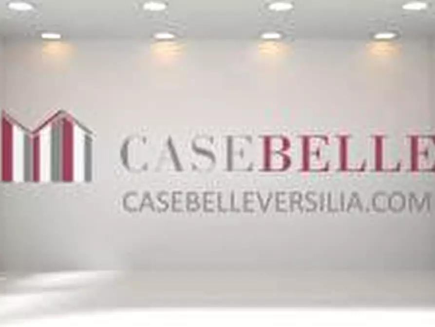 Immagine 1 di Capannone industriale in vendita  a Pietrasanta