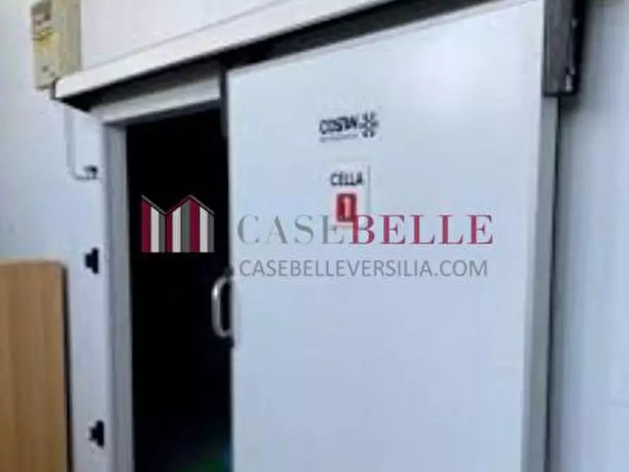 Immagine 2 di Capannone industriale in vendita  a Pietrasanta