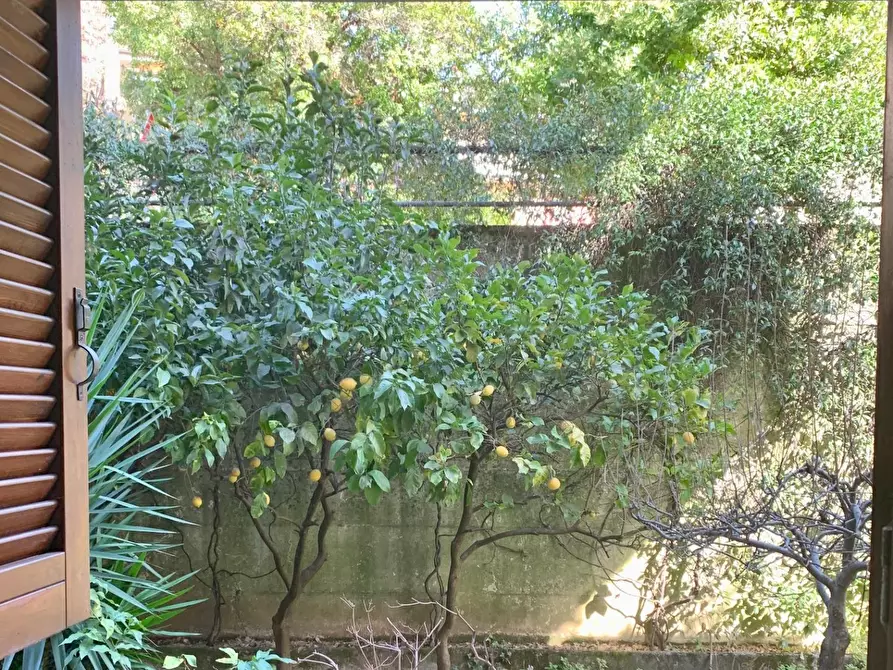 Immagine 16 di Appartamento in vendita  a Montignoso