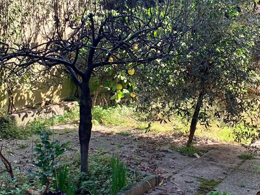 Immagine 19 di Appartamento in vendita  a Montignoso