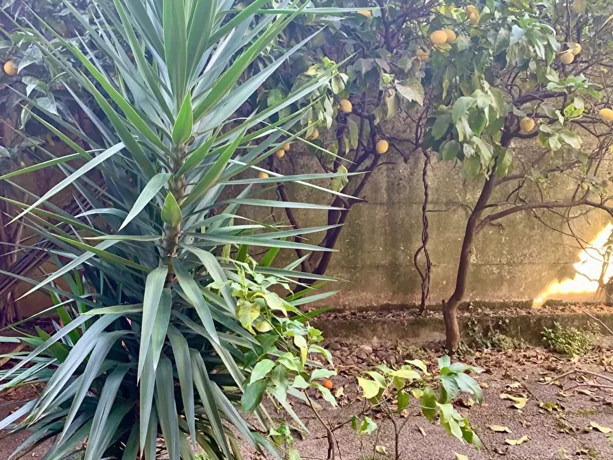 Immagine 20 di Appartamento in vendita  a Montignoso