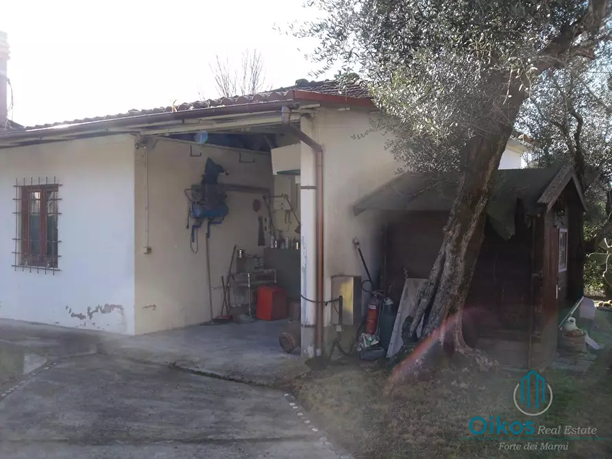 Immagine 5 di Casa indipendente in vendita  a Massa