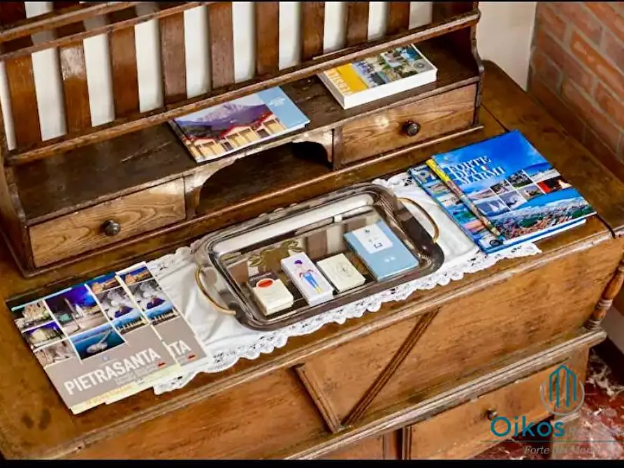 Immagine 22 di Casa indipendente in affitto  a Forte Dei Marmi