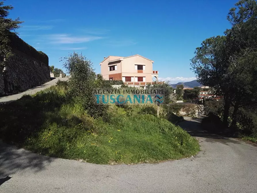 Immagine 9 di Villa in vendita  a Portoferraio
