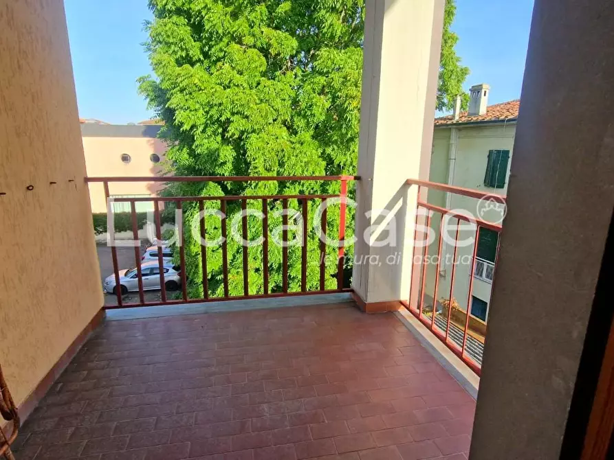 Immagine 19 di Appartamento in vendita  a Lucca