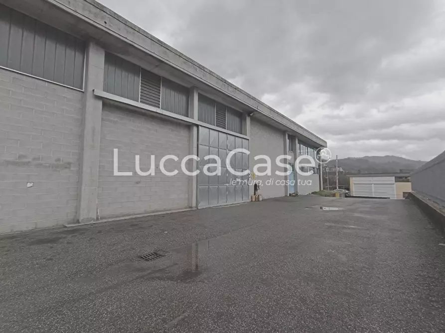 Immagine 17 di Capannone industriale in affitto  a Coreglia Antelminelli