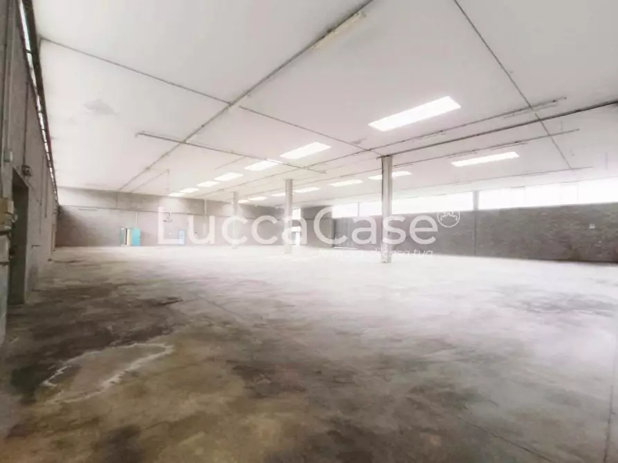 Immagine 3 di Capannone industriale in affitto  a Coreglia Antelminelli