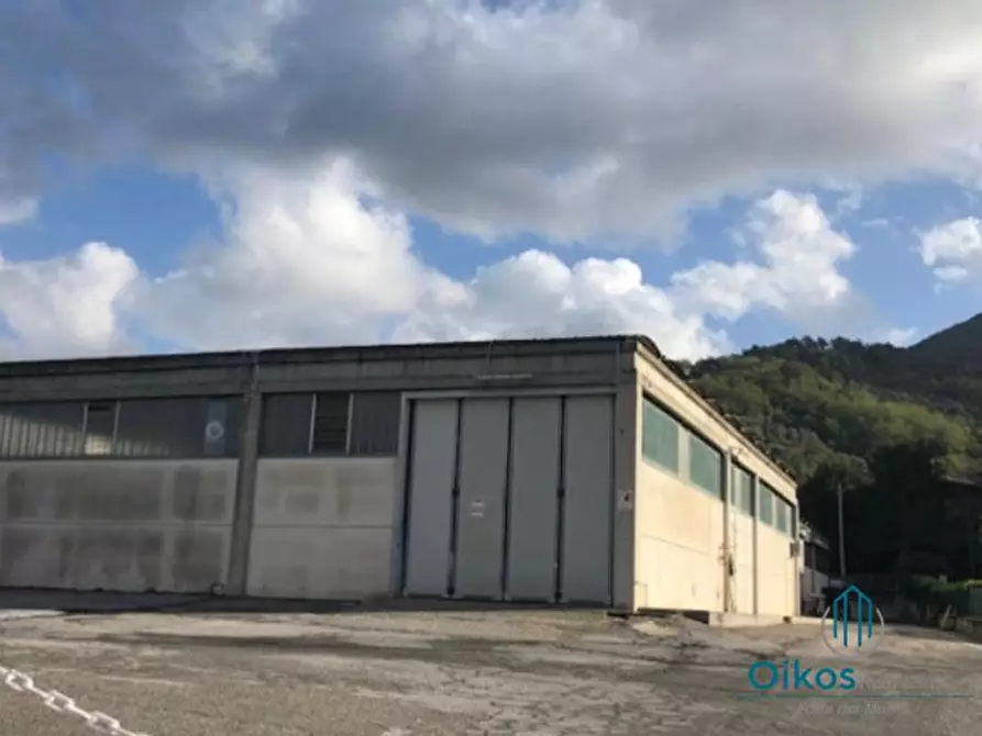 Immagine 1 di Attività artigianale in vendita  a Massarosa