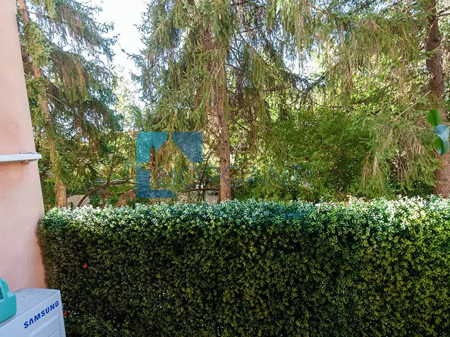 Immagine 17 di Appartamento in vendita  a Pietrasanta