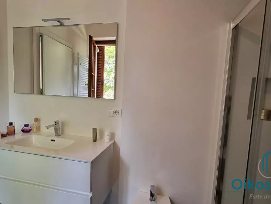 Immagine 33 di Villa in affitto  a Forte Dei Marmi