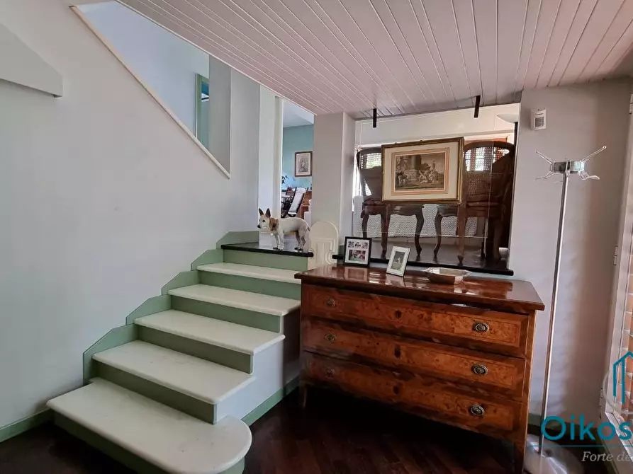 Immagine 21 di Villa in affitto  a Forte Dei Marmi