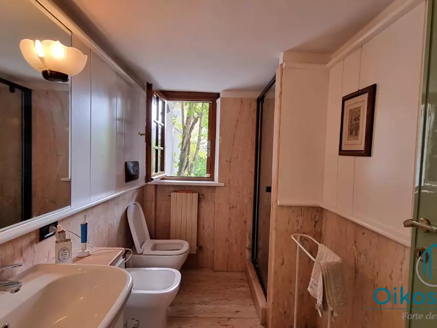 Immagine 7 di Villa in affitto  a Forte Dei Marmi