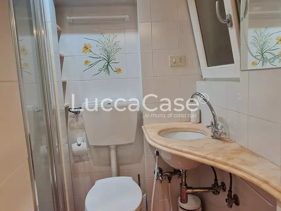 Immagine 6 di Appartamento in vendita  a Lucca