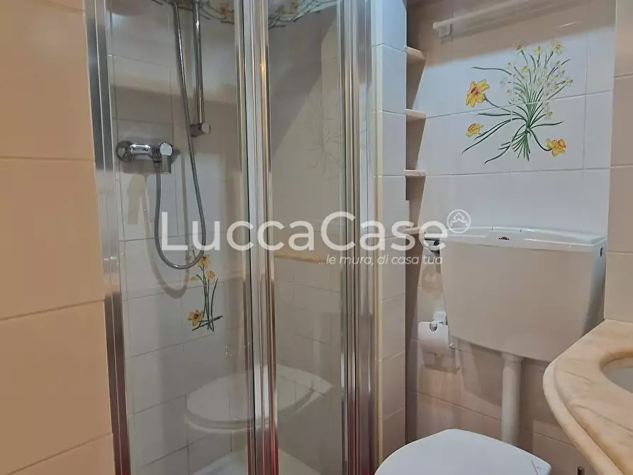 Immagine 9 di Appartamento in vendita  a Lucca