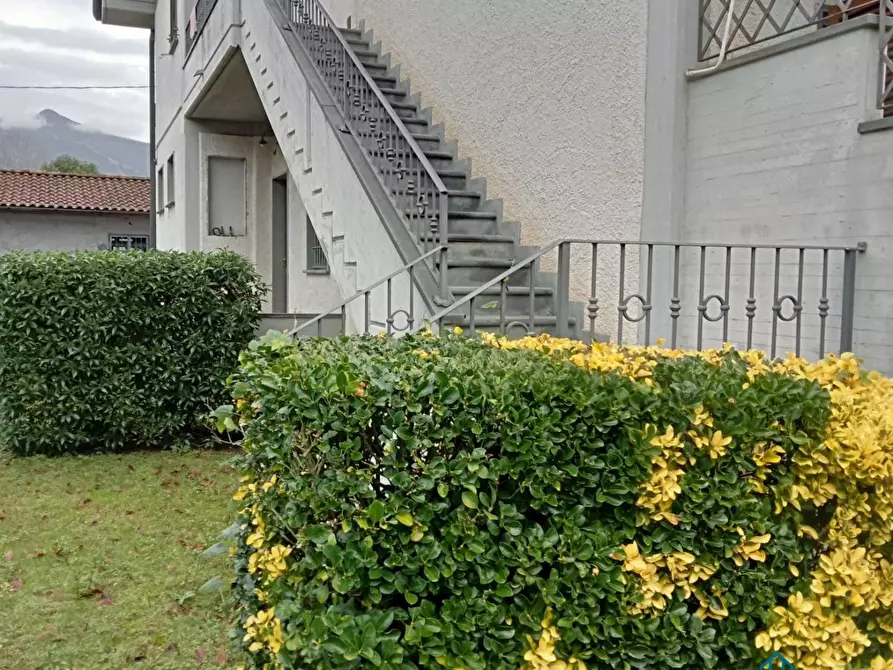 Immagine 1 di Appartamento in affitto  a Montignoso