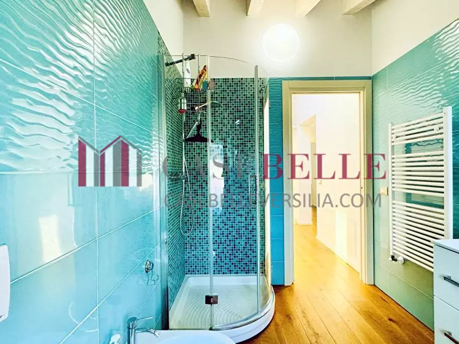 Immagine 37 di Casa semindipendente in affitto  a Camaiore