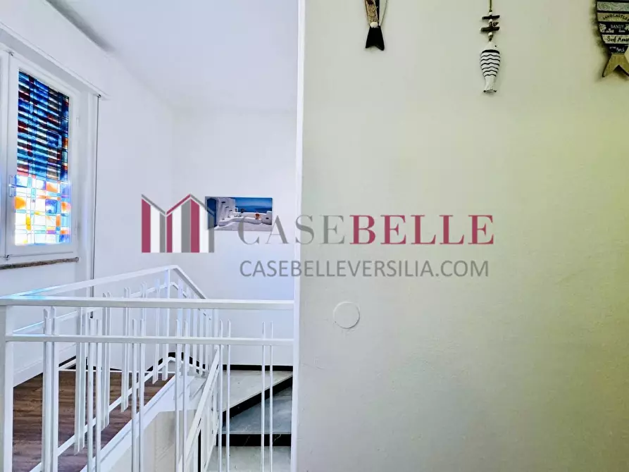 Immagine 32 di Casa semindipendente in affitto  a Pietrasanta