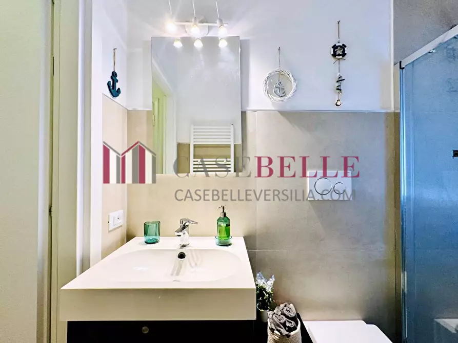 Immagine 29 di Casa semindipendente in affitto  a Pietrasanta