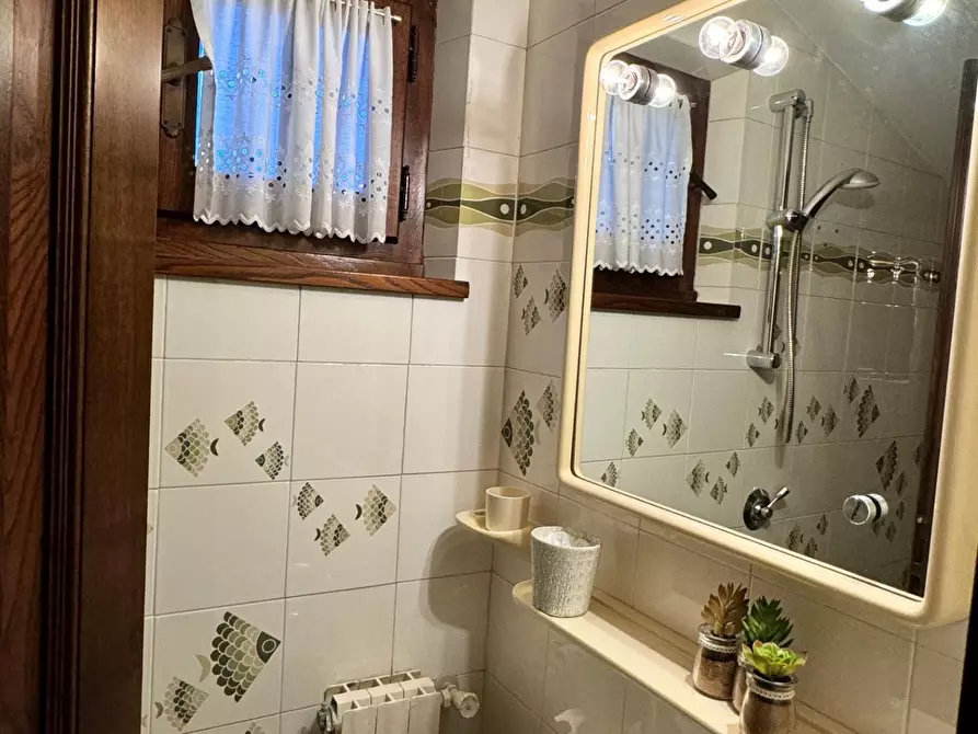 Immagine 13 di Villa in affitto  a Forte Dei Marmi