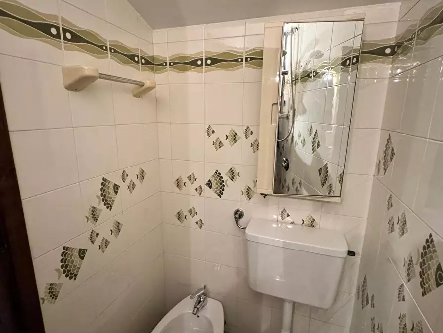 Immagine 16 di Villa in affitto  a Forte Dei Marmi