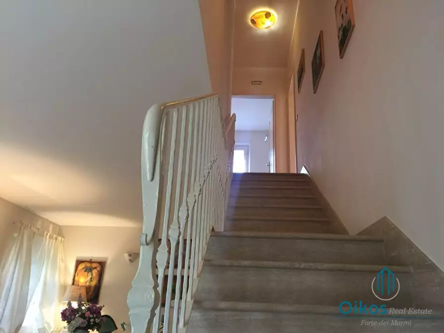 Immagine 10 di Villa in affitto  a Forte Dei Marmi