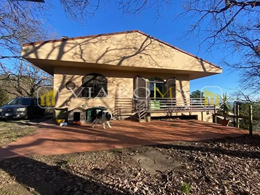 Immagine 45 di Villa in vendita  a Lucca