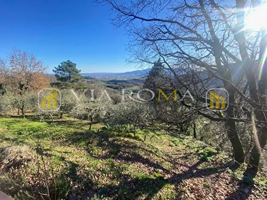 Immagine 14 di Villa in vendita  a Lucca