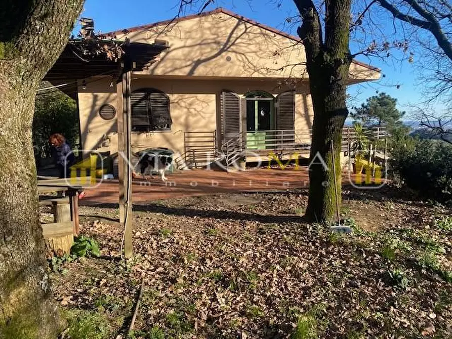 Immagine 44 di Villa in vendita  a Lucca